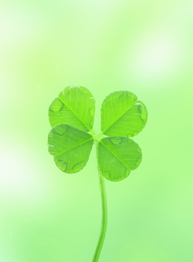 経営理念 有限会社里見電気製作所